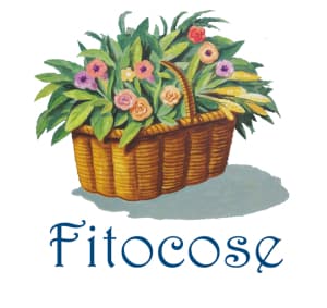 Fitocose