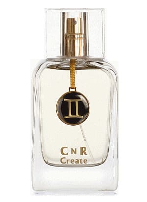 Gemini for Men