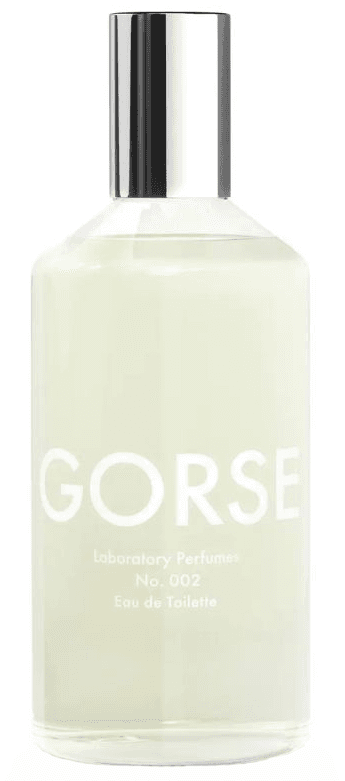 Gorse