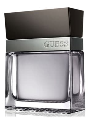 Guess Seductive Homme
