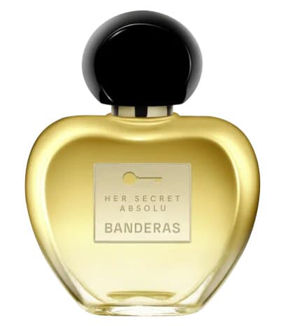 Her Secret Absolu