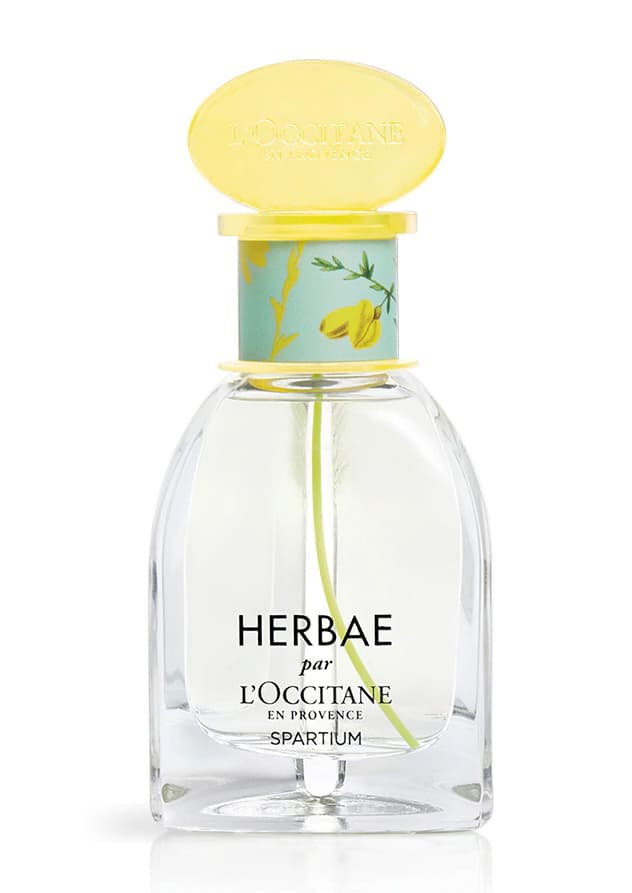 Herbae Spartium
