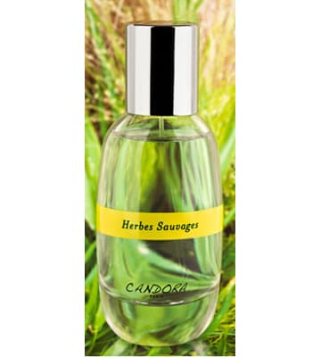 Herbes Sauvage