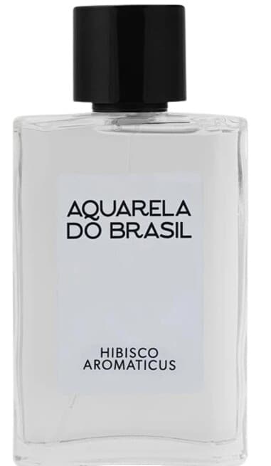 Hibisco Aromaticus