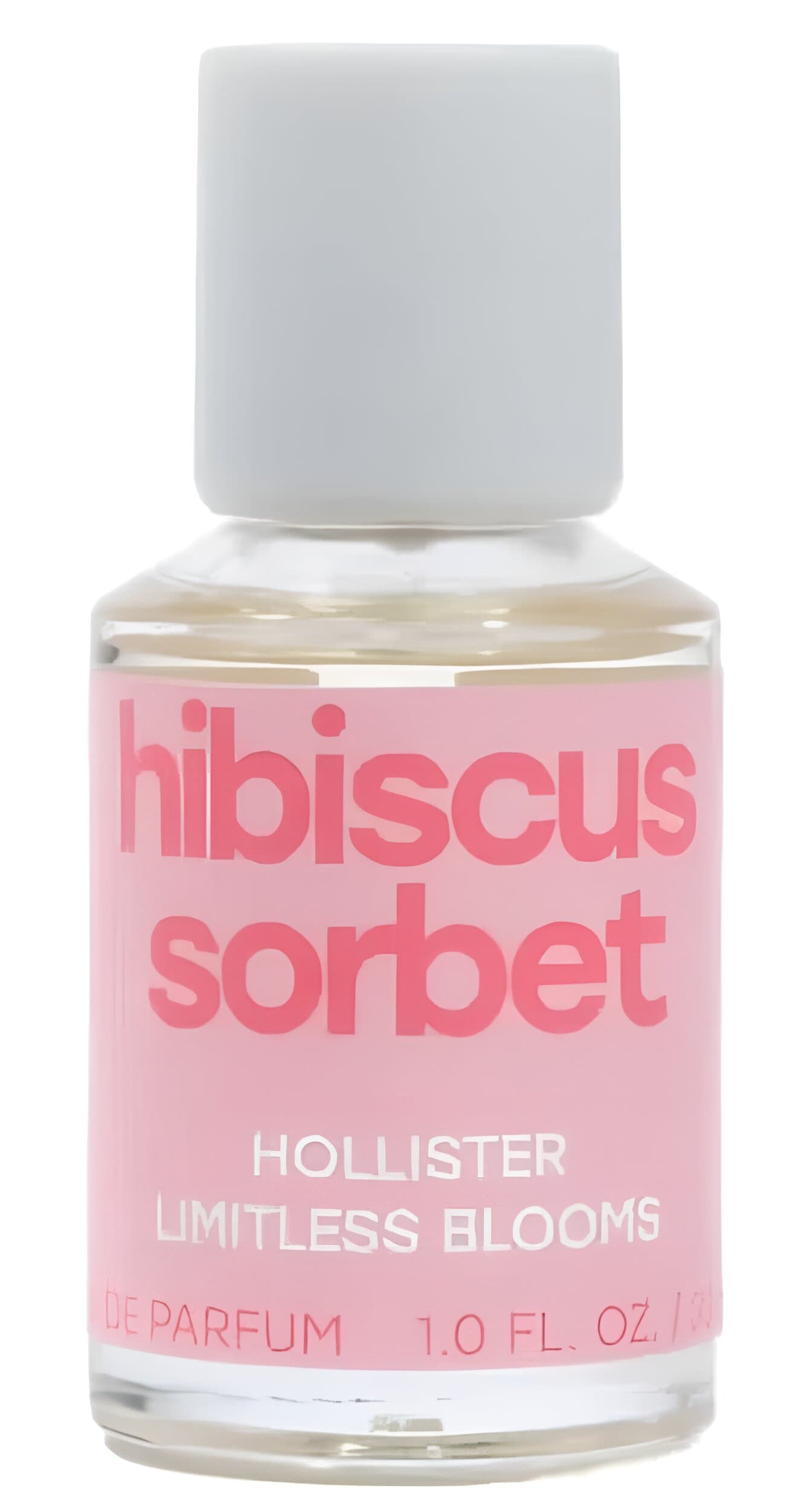 Hibiscus Sorbet