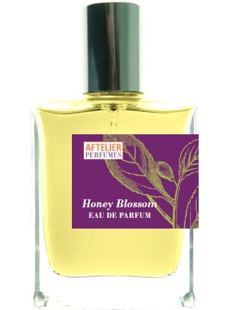 Honey Blossom