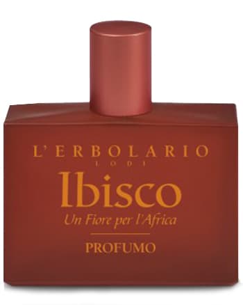 Ibisco