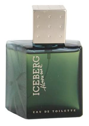 Iceberg Homme