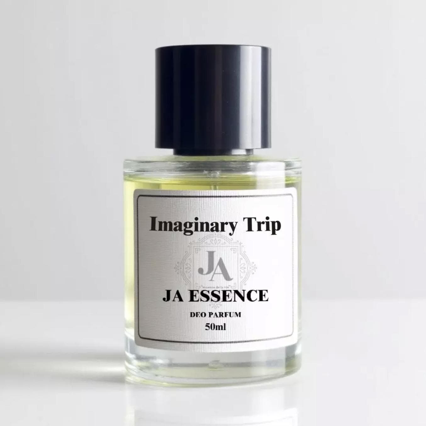 Imaginary Trip