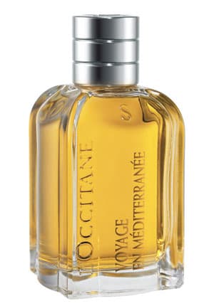 Immortelle de Corse