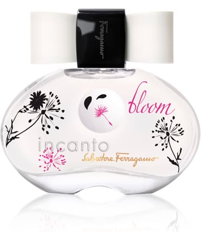 Incanto Bloom