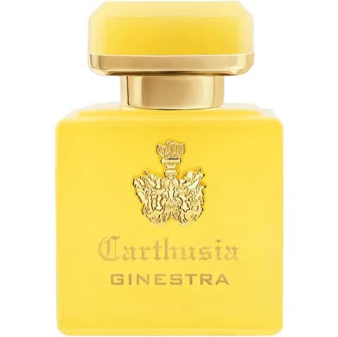 Intenso di Ginestra