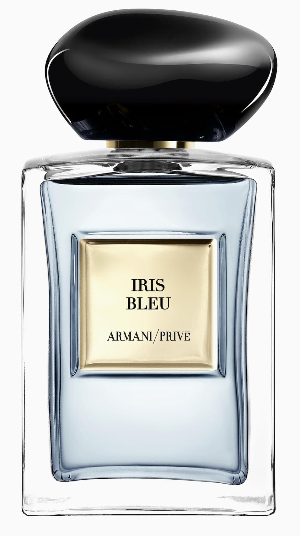 Iris Bleu