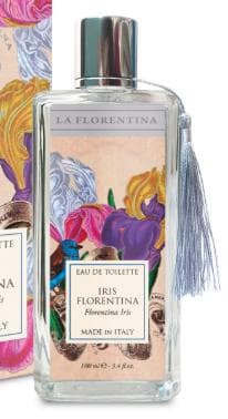 Iris Florentina