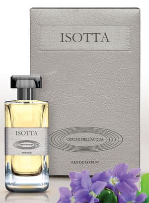 Isotta