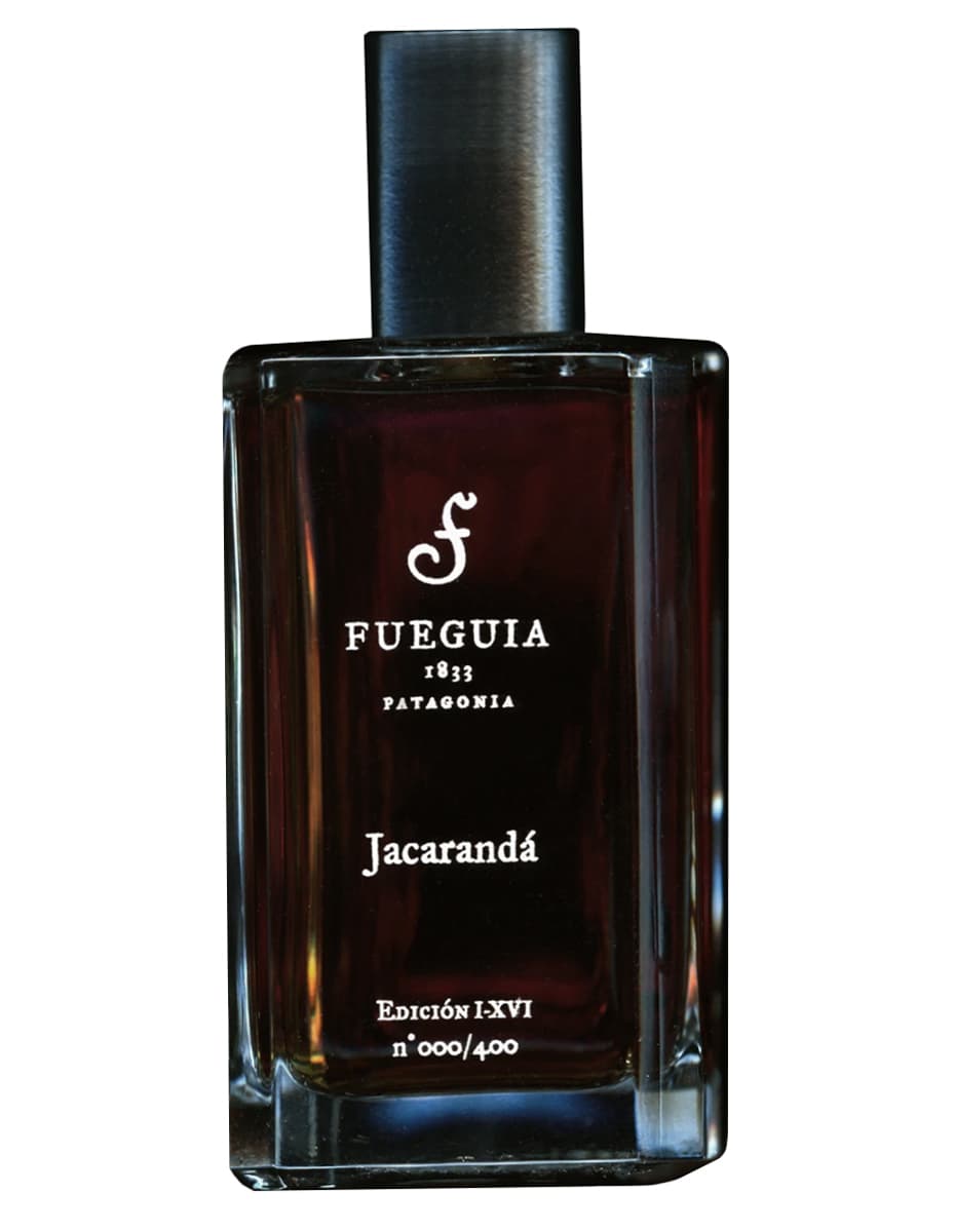 Jacarandá 2016 Edition
