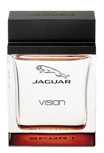 Jaguar Vision Sport