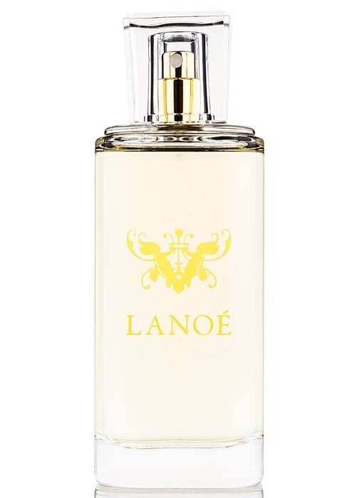 Jasmin d'Orange