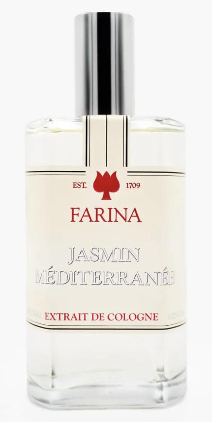 Jasmin Méditerranée