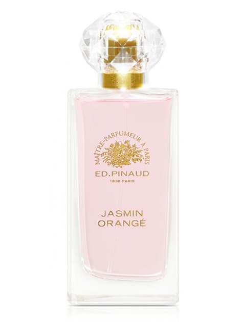 Jasmin Orangé
