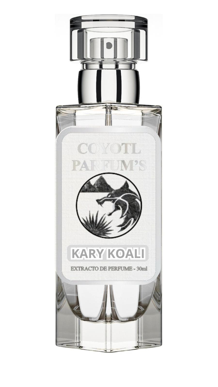 Kary Koali