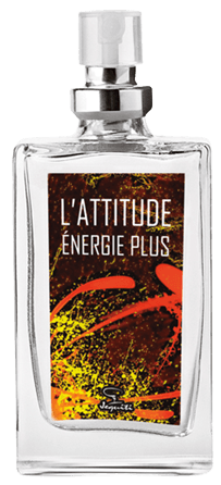 L'Attitude Énergie Plus