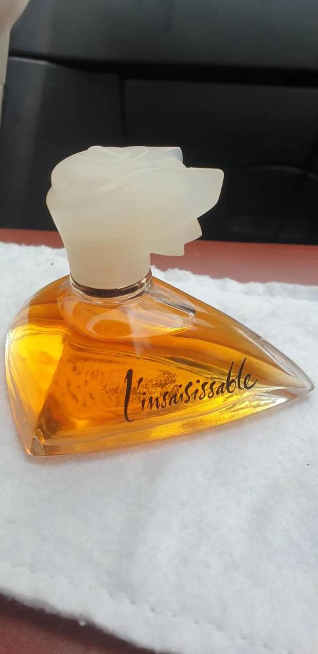 L'Insaisissable