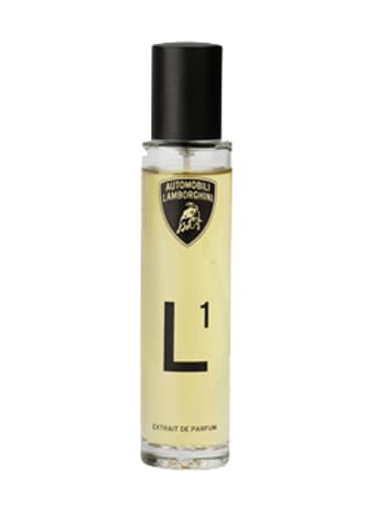 L1