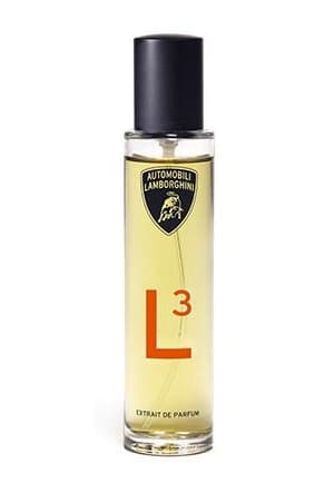 L3