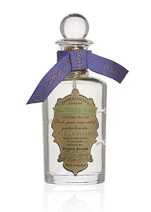 Lavandula