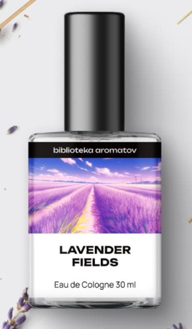 Lavender fields