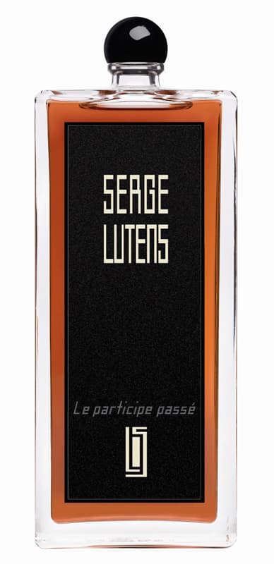 Le Participe Passé