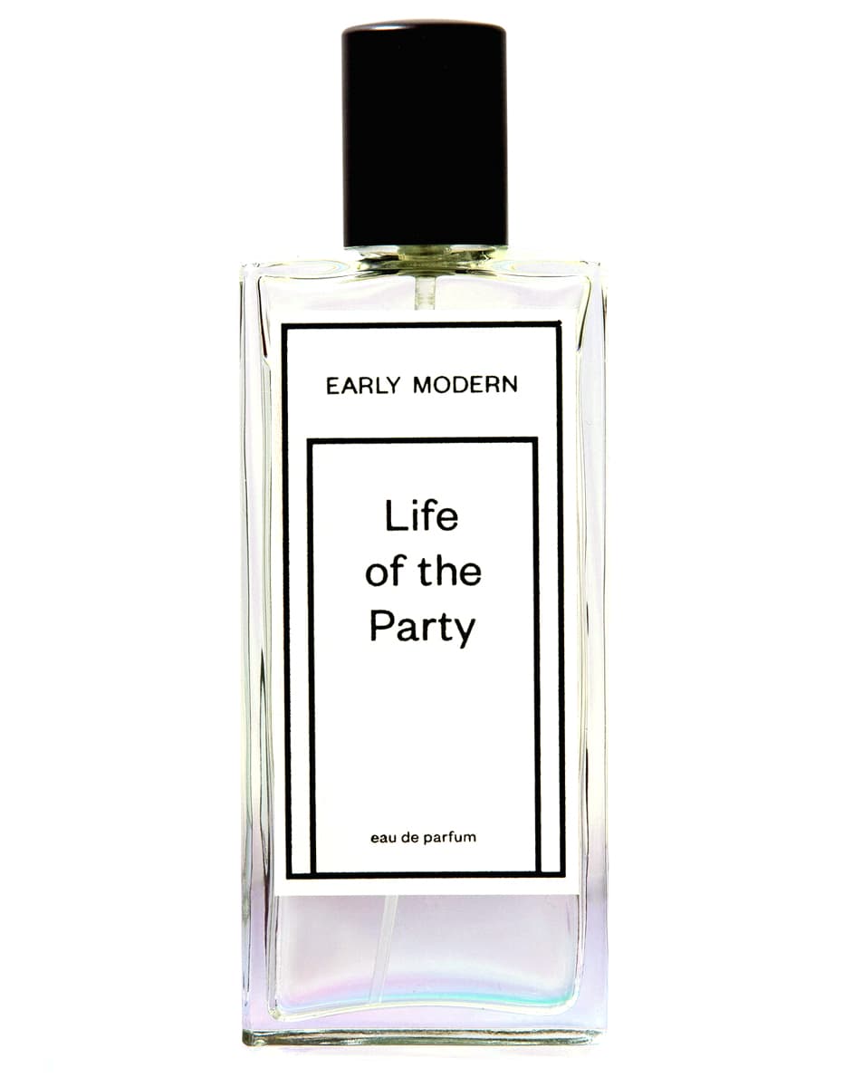 Life Of The Party