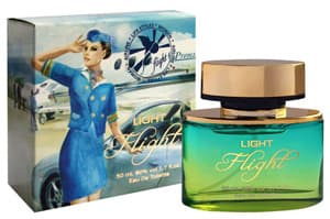 Light Flight