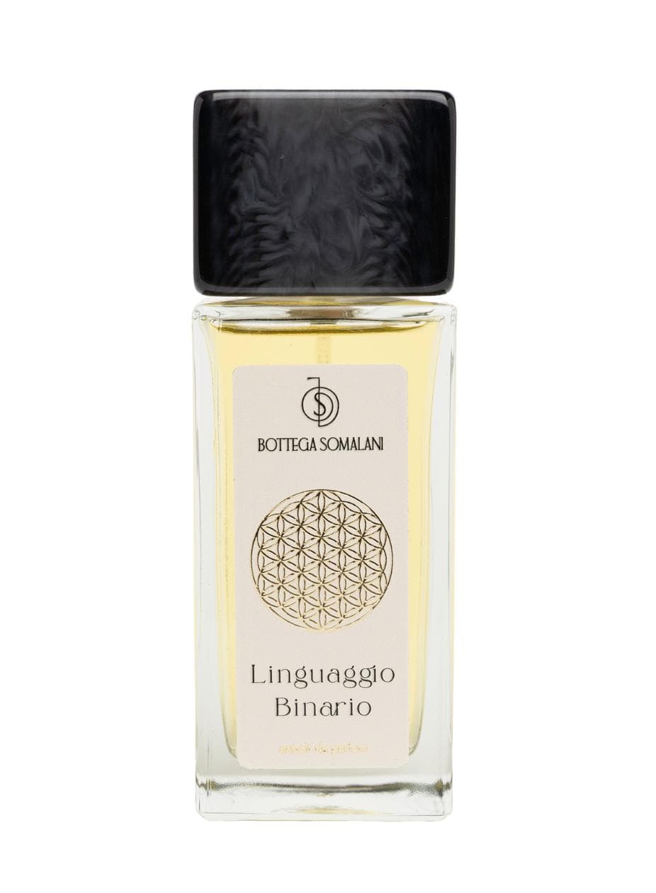 Linguaggio Binario
