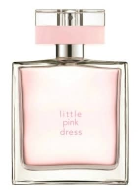 Little Pink Dress