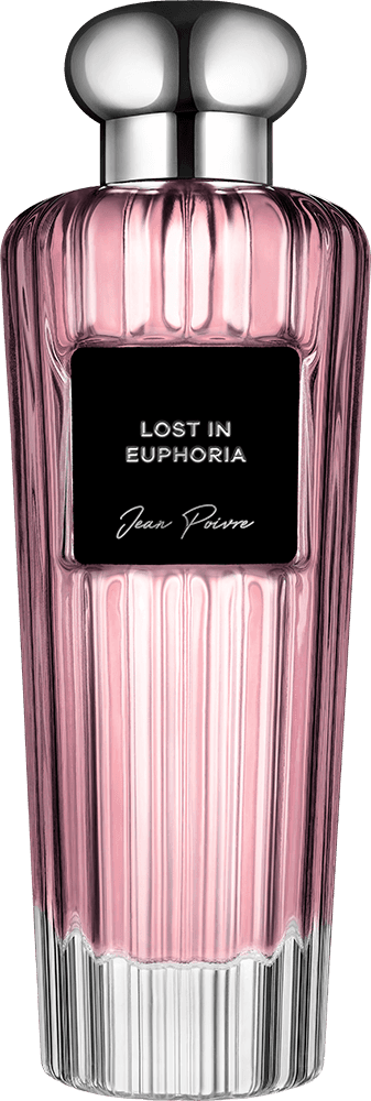Lost In Euphoria