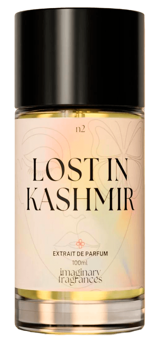 Lost In Kashmir