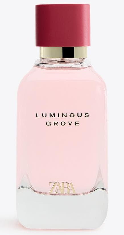 Luminous Grove