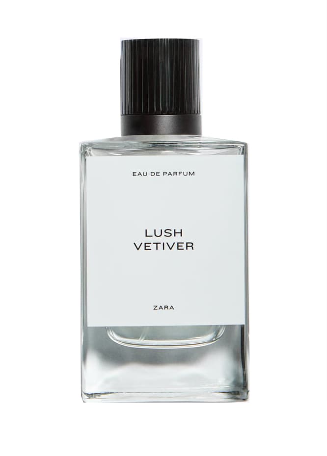 Lush Vetiver