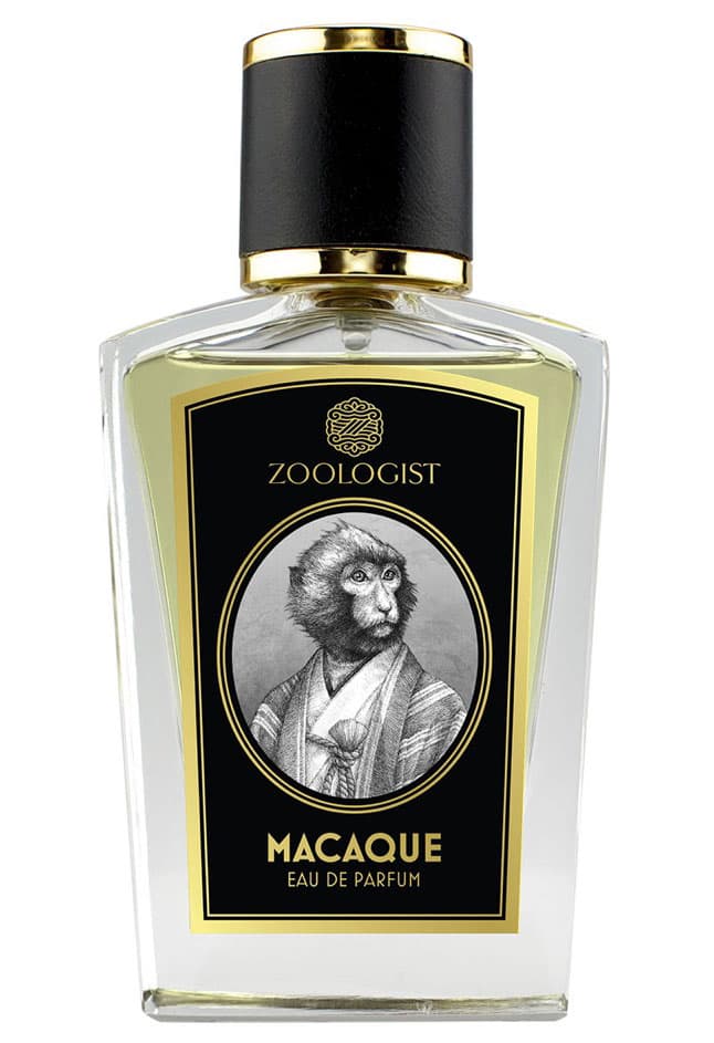 Macaque