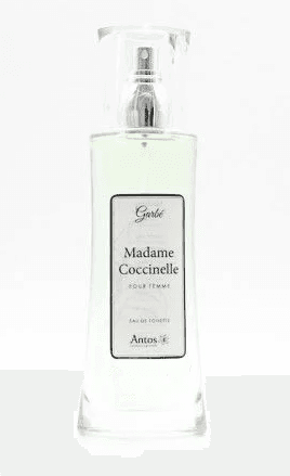 Madame Coccinelle