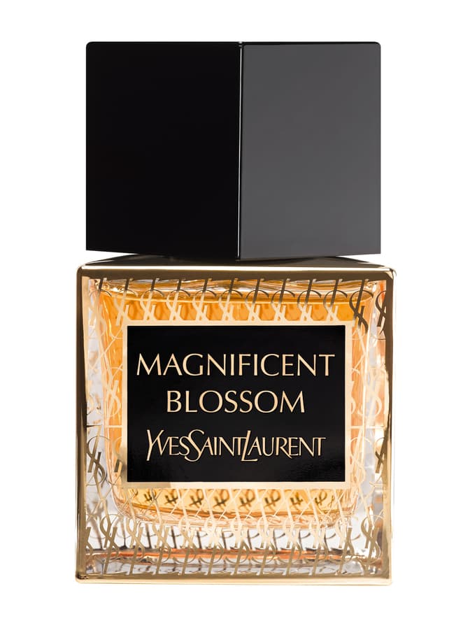 Magnificent Blossom