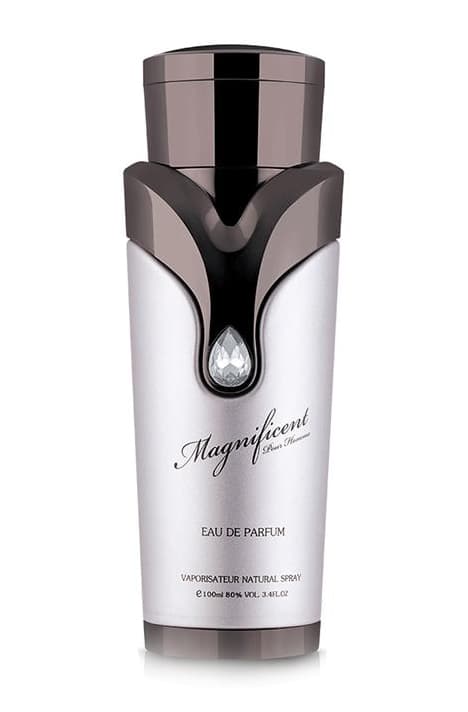 Magnificent Pour Homme