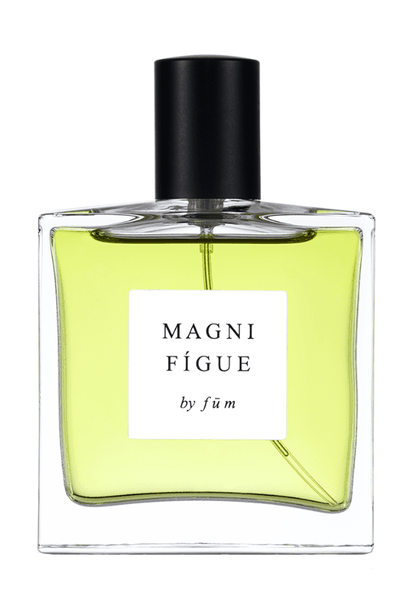 Magnifígue