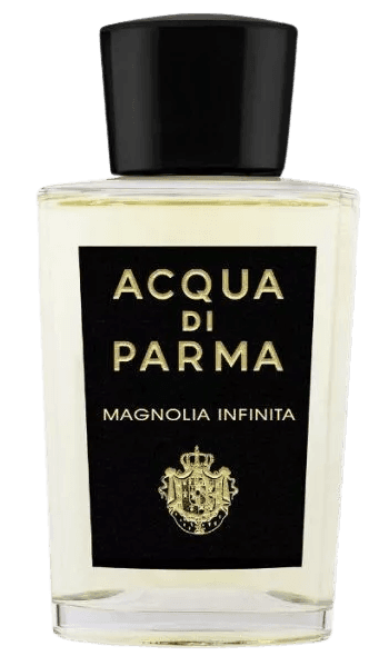 Magnolia Infinita