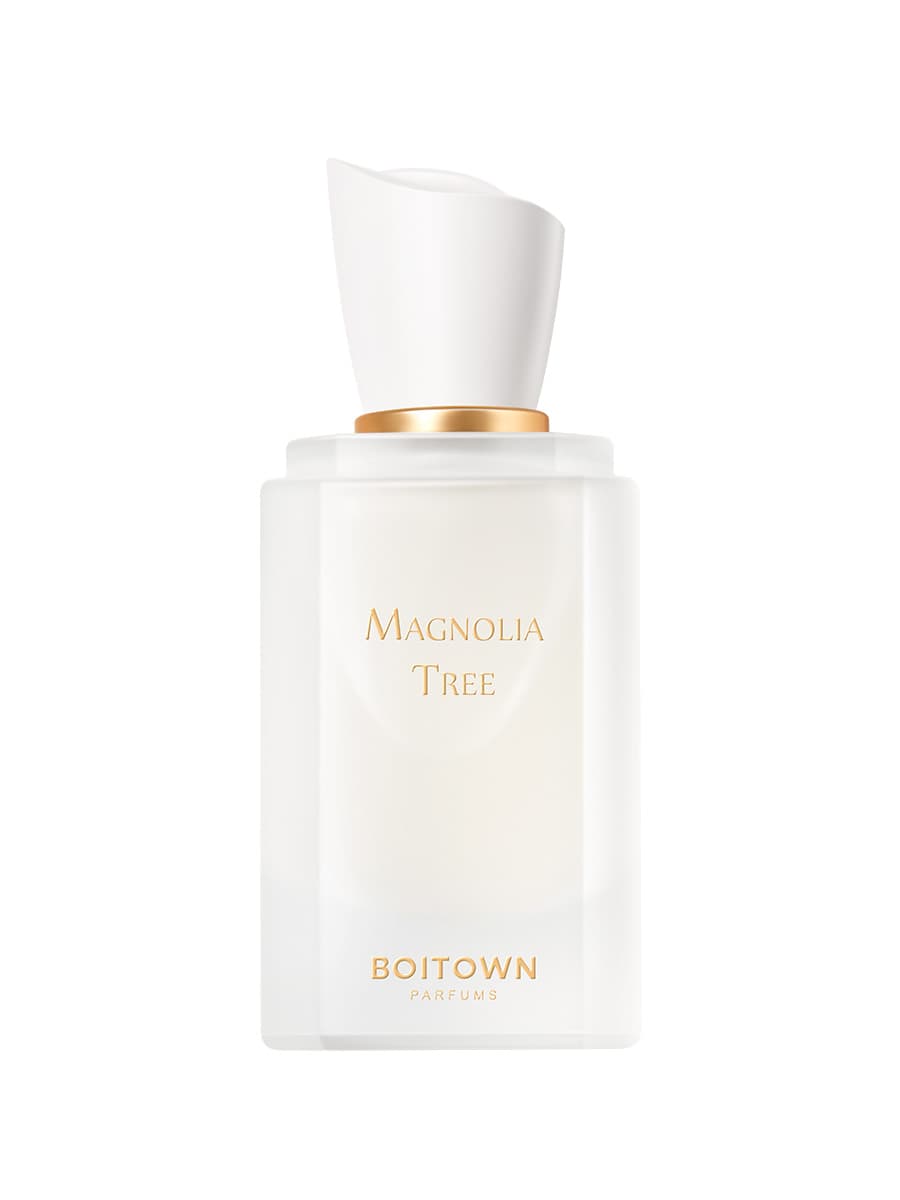 Magnolia Tree 一树玉兰