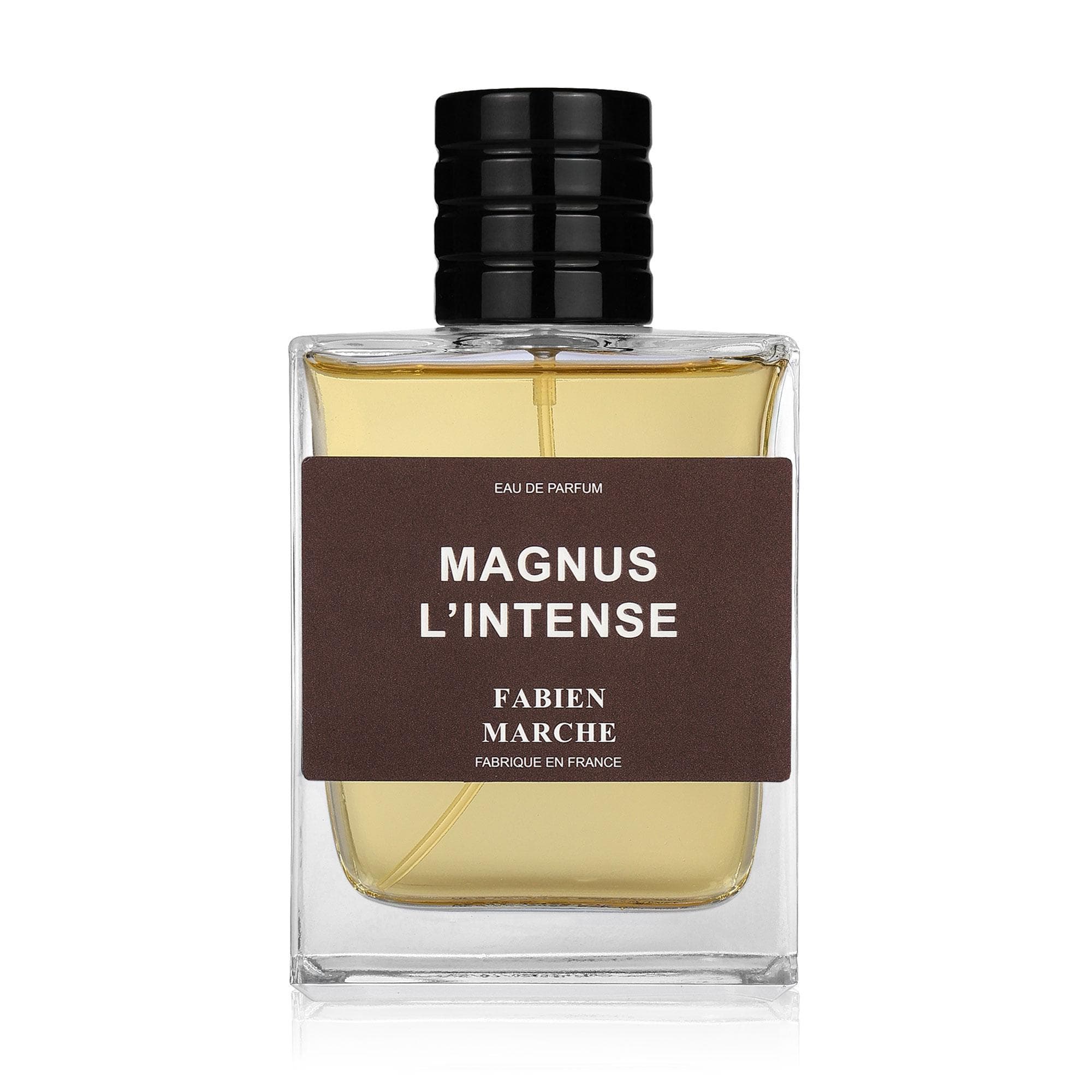 Magnus L’intense