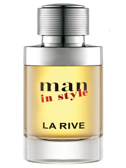 Man in Style