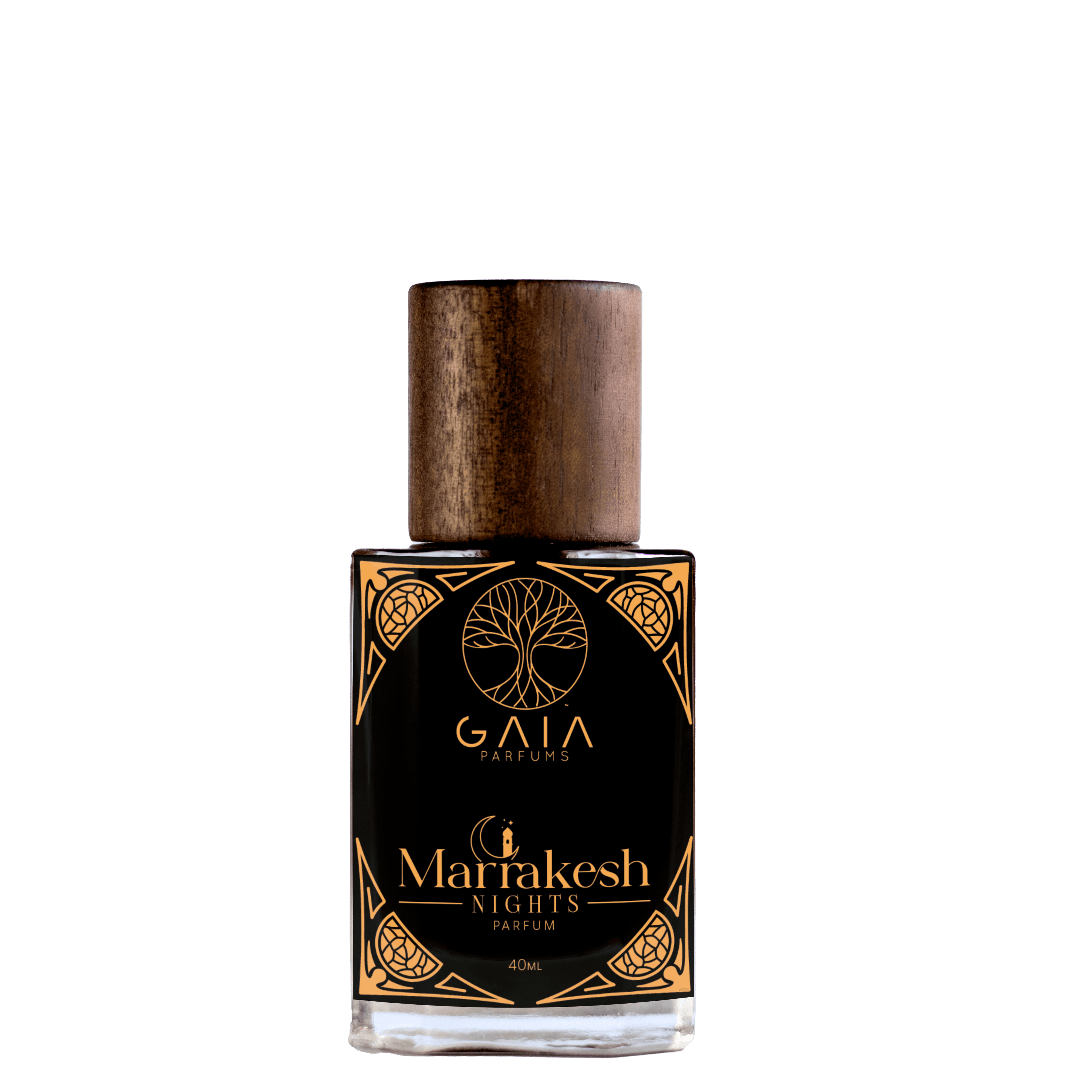 Marrakesh Nights